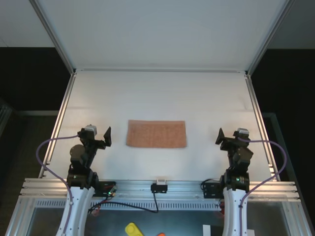 Real RGB observation at the start of the rollout